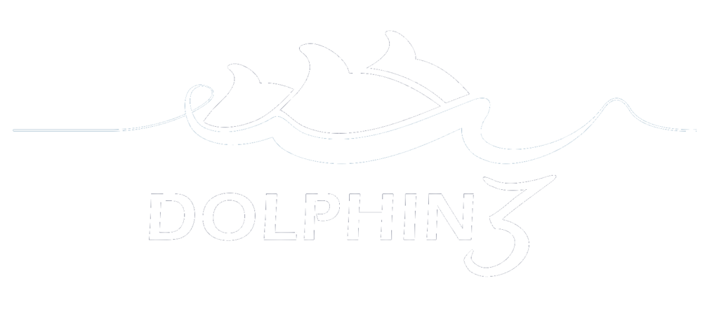 Dolphin 3 Discipleship Logo