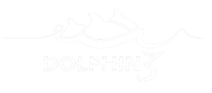 Dolphin 3 Discipleship logo